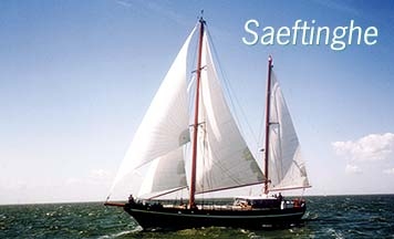 Saeftinghe